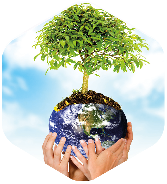 An Argument In Favor Of Protection Of Worlds Natural Environment